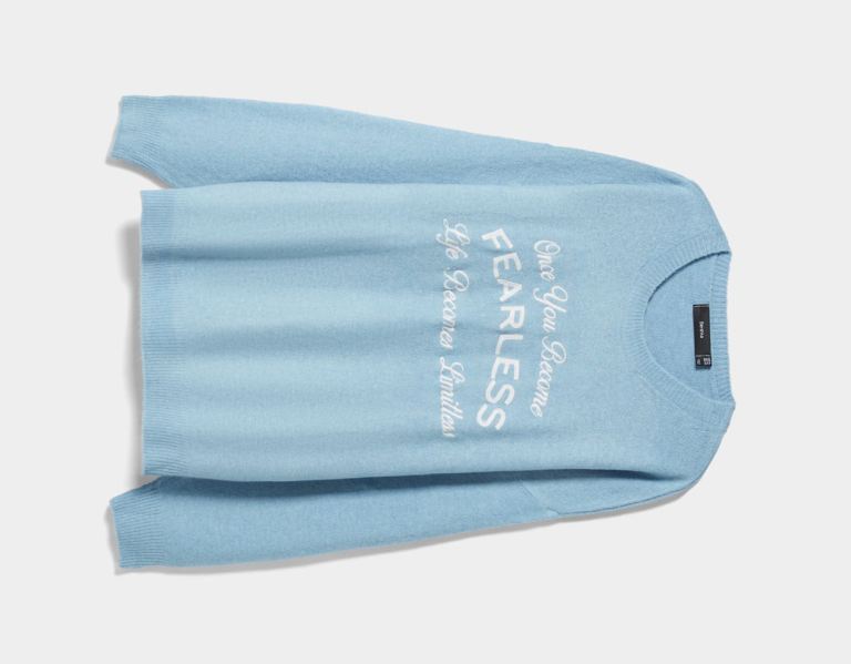 Bershka Embroidered Varsity Pullover Pullover Herren Hellblau | ATDQuDAiODb