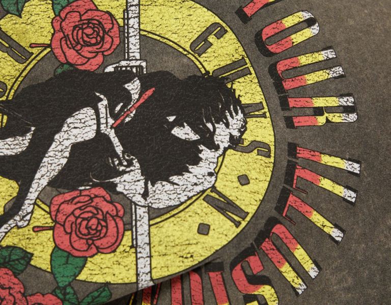 Bershka Guns N’ Roses Print Kurzes Sleeve T-shirts Damen Grau | h7dAmbjwWjB